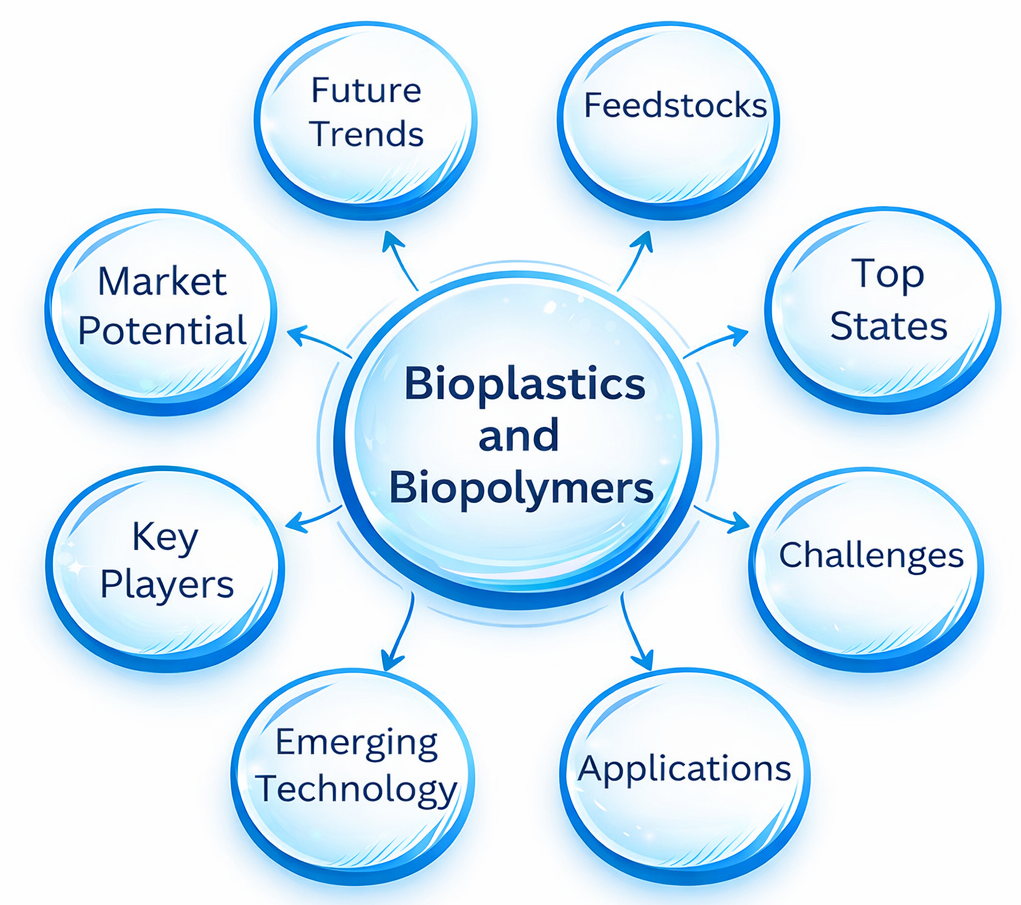 Bioplastics and Biopolymers Topics Diagram