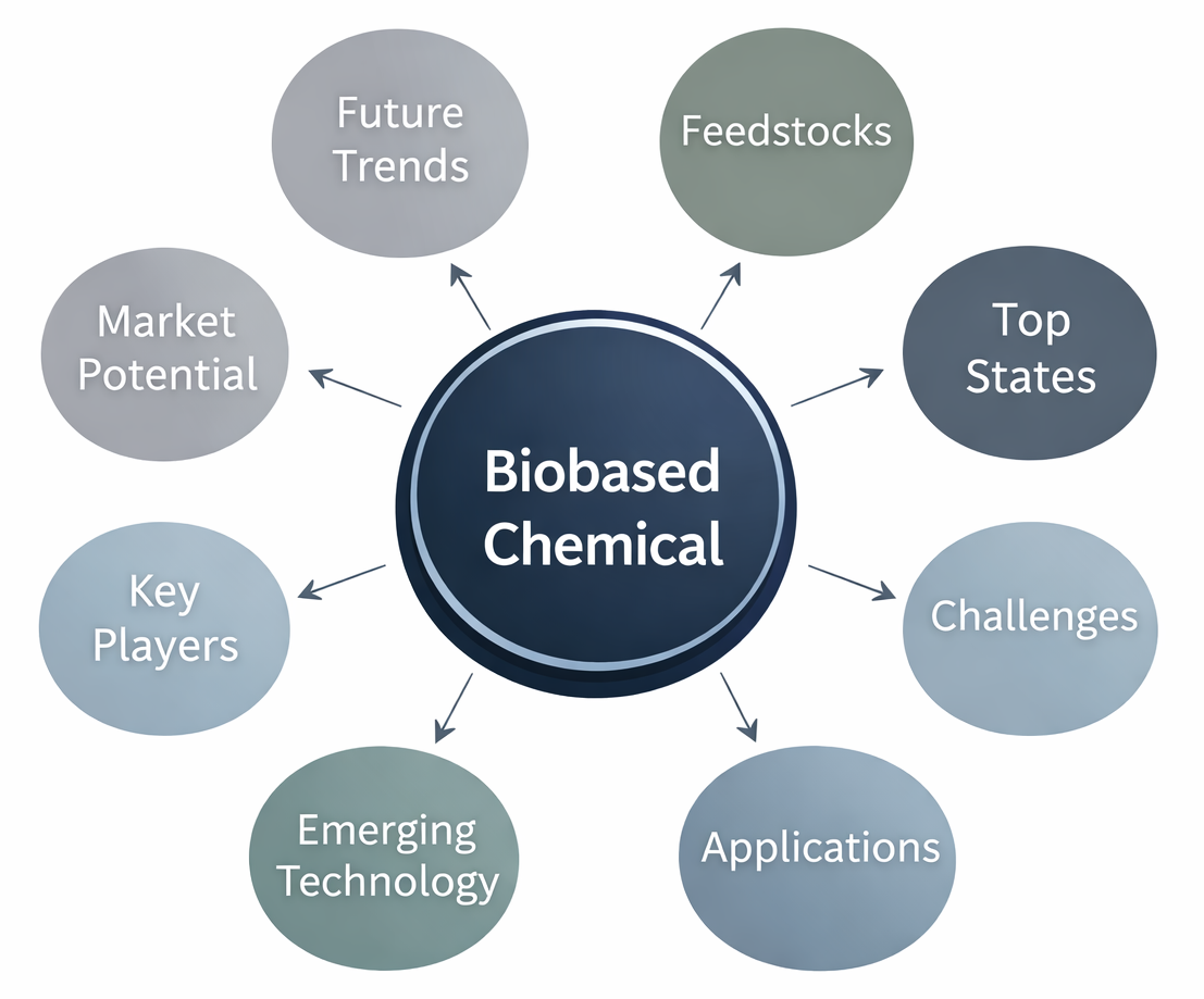 Biomass Gasifiers Topics Diagram