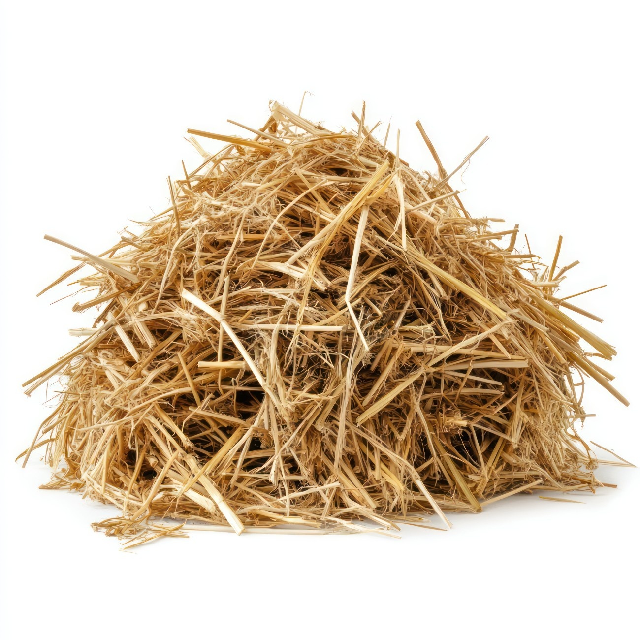 OFMSW Municipal Waste